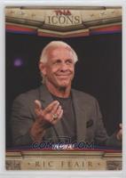 Icons - Ric Flair