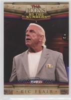 By the Numbers - Ric Flair