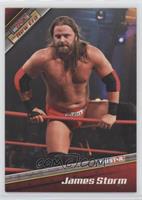 James Storm [EX to NM]