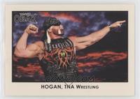 Hulk Hogan #/310