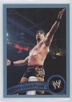 Chavo Guerrero Jr. #/2,011