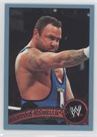 Santino Marella #/2,011