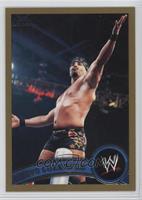 Chavo Guerrero Jr. #/50