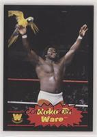 Koko B. Ware