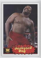 Junkyard Dog