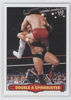 Double A Spinebuster (Arn Anderson)