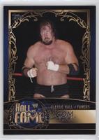 Terry Funk