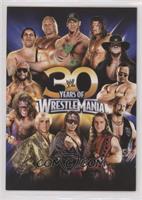 30 Years of Wrestlemania (John Cena, Triple H, Undertaker, The Rock, Steve Aust…