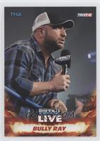 Bully Ray