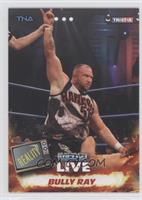 Bully Ray