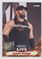 James Storm