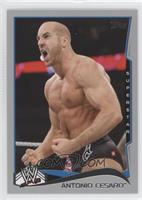 Cesaro