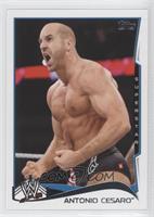 Cesaro