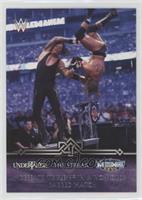 Defeats Triple H in a No Holds Barred Match (Undertaker)