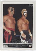 Sting & Road Warrior Hawk Defeat the Nasty Boys