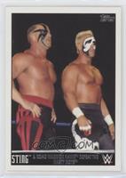 Sting & Road Warrior Hawk Defeat the Nasty Boys