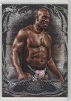 Titus O'Neil #/99