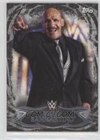 Bruno Sammartino #/99