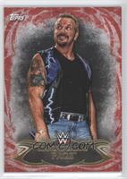 Diamond Dallas Page