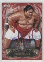 Yokozuna