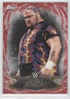 Bam Bam Bigelow