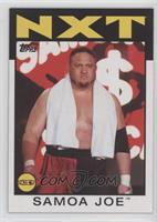 NXT - Samoa Joe