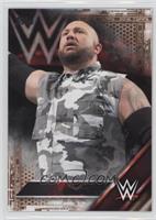 Bubba Ray Dudley