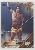 Scott Hall