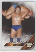 Mike Rotunda