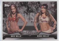 Brie Bella vs. Nikki Bella