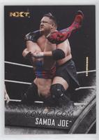 Prospect - Samoa Joe