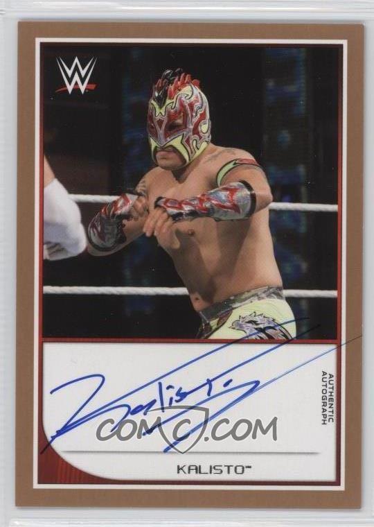 Image result for kalisto signature