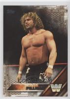 Brian Pillman