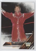 Paul Orndorff [EX to NM]