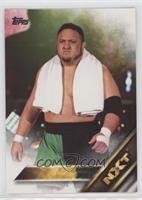 Samoa Joe