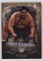 Yokozuna #/99