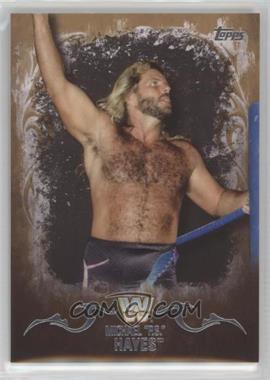 2016 Topps WWE Undisputed - [Base] - Tag Team Championship Bronze #73 - Michael Hayes /99