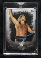 Michael Hayes [Uncirculated] #/1