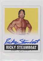 Ricky Steamboat #/99