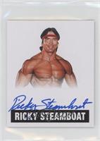 Ricky Steamboat