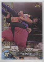 Yokozuna #/99