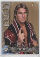 Terry Taylor #/99