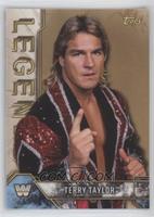 Terry Taylor