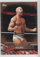 Cesaro