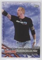 Diamond Dallas Page