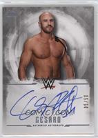 Cesaro #/50