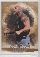 Goldberg #/99