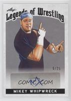 Mikey Whipwreck #/25