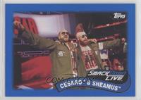 Cesaro & Sheamus #/50