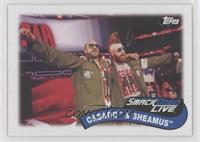 Cesaro & Sheamus